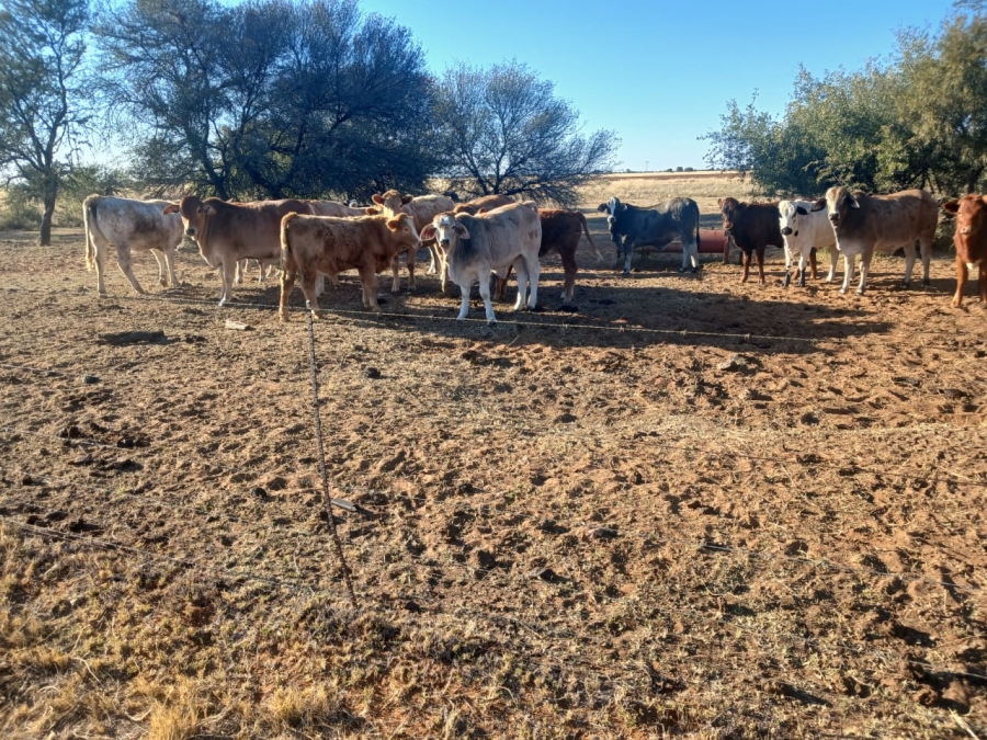  Bedroom Property for Sale in Vryburg Rural North West